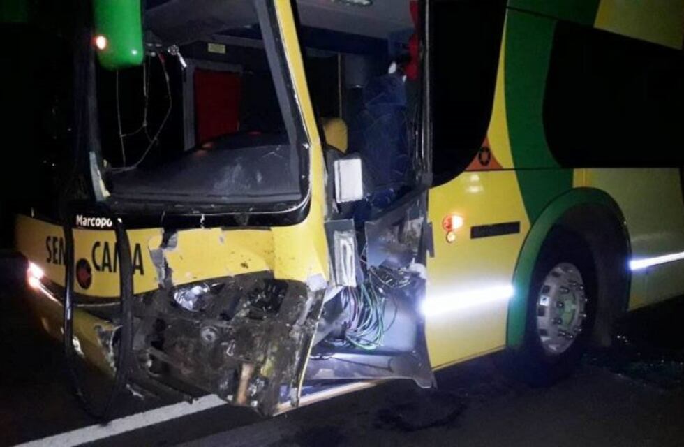 Una vaca suelta en la Ruta 12 provocó una accidente múltiple