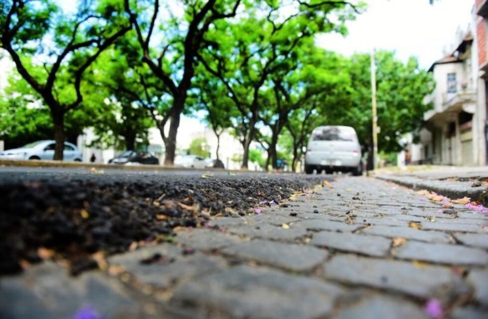 La Plata: polémica por los adoquines que retiraron de diagonal 73