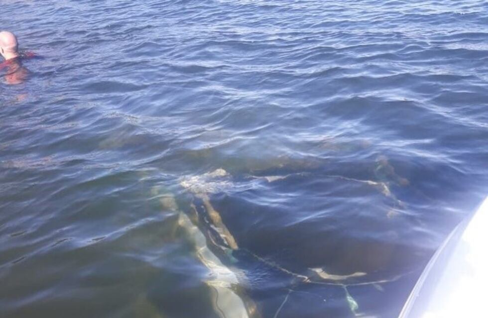 Hallaron un auto robado dentro del Lago Los Molinos