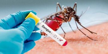El dengue sigue preocupando con 1458 contagiados