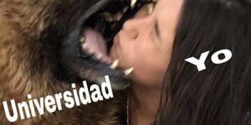 Los memes de la mordida del perro Kenai a Laru que se volvió viral (Foto: Twitter)