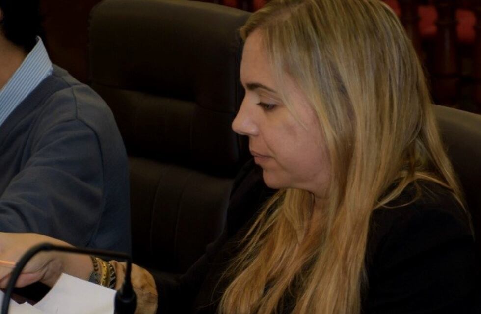 Engelbrecht: "La obra pública nos parece brillante, pero renegamos de las prioridades"