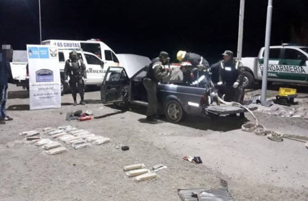 Jordi, el perro que detectó 28 kilos de marihuana en Viedma