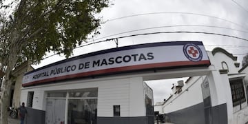 Nicole Neumann festejó la inauguración del Hospital de Mascotas de Salta