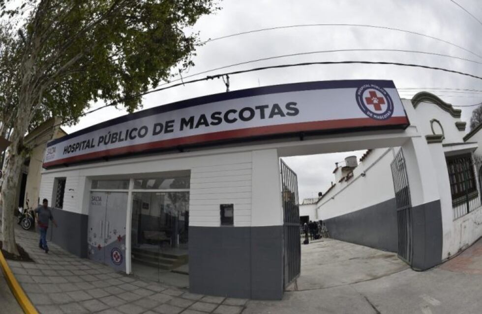 En su primer mes, el Hospital de Mascotas atendió más de mil casos