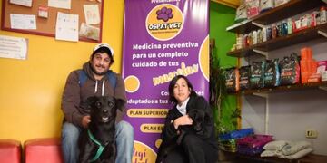 Ospavet obra social para mascotas en San Luis\u002E Foto: El Diario de la República\u002E