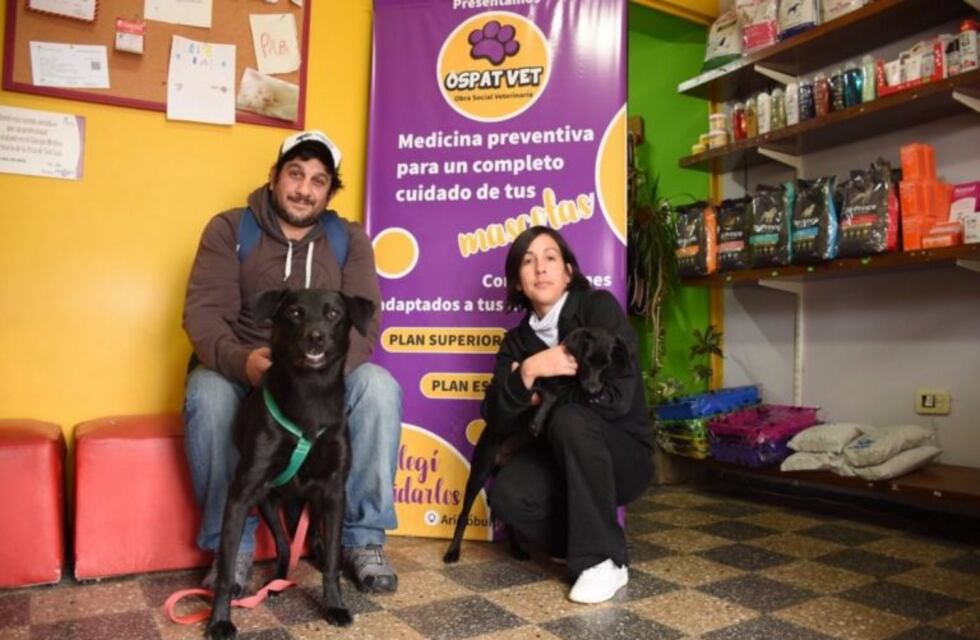 Sigue creciendo la mutual para perros y gatos