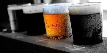 Bariloche realizará la "Noche sin Alcohol" para concientizar sobre el consumo en los jóvenes