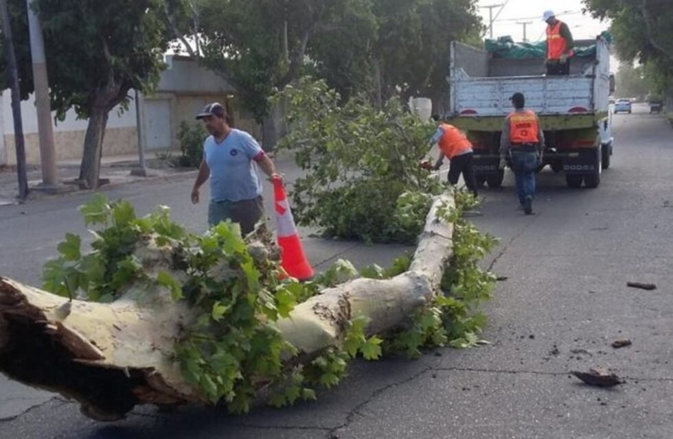 Un fuerte viento provocó destrozos en varias zonas de San Juan