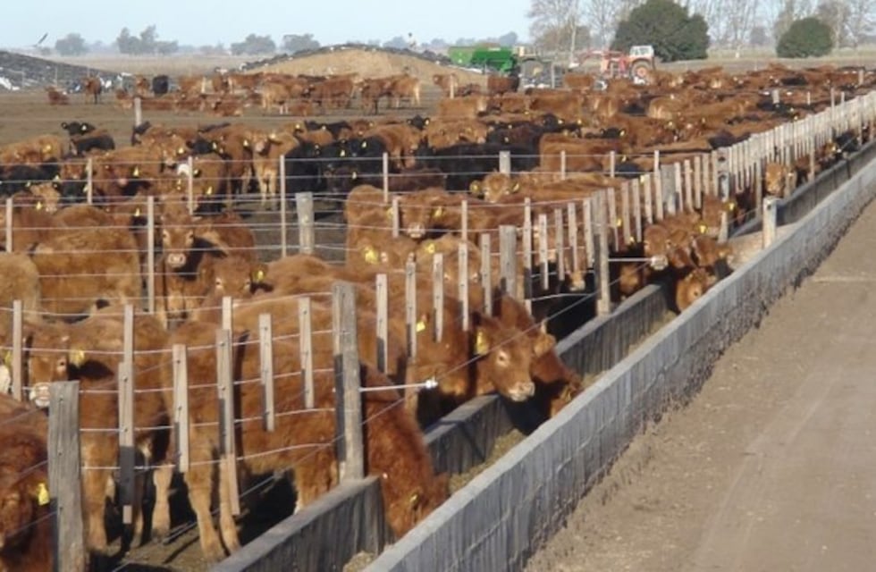 Pérdidas por manejo inadecuado del ganado