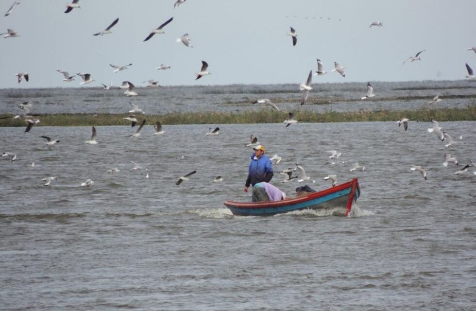La columna literaria de Magdalena Giorgio