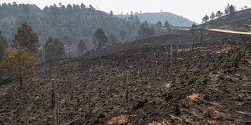 Incendios apagados en Córdoba
