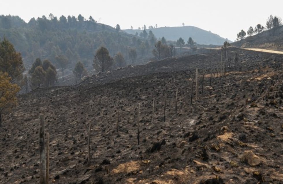 El gobierno de Córdoba pidió que se investigue la venta de terrenos incendiados
