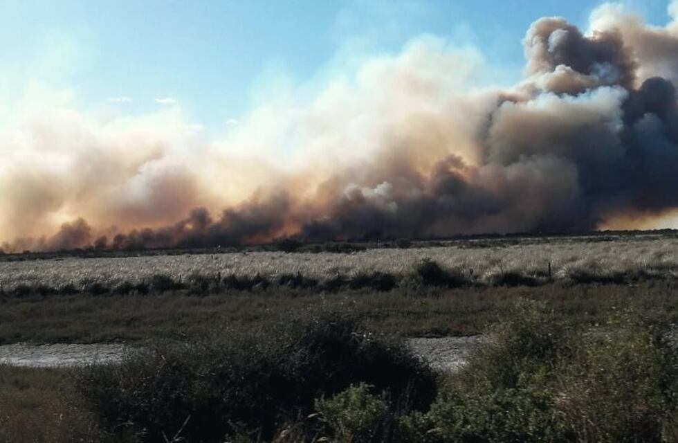 Ya se habrían quemado unas 800 hectáreas