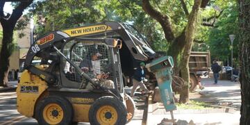 Dársenas en calles y veredas de Posadas, para los taxis, remises y autos particulares y para colocar contenedores de basura\u002E (Mun\u002E de Pdas\u002E)