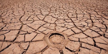 La sequía que afecta a familias y productores del Chaco salteño\u002E (Web)