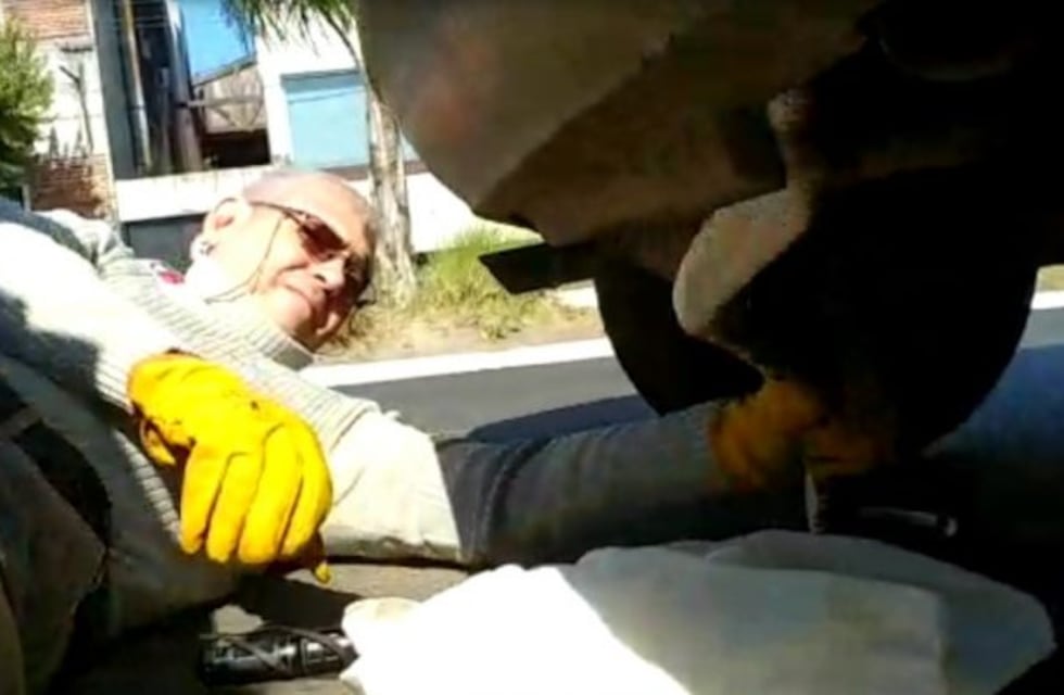 Estacionó su auto en la costanera y le apareció una víbora en el paragolpes