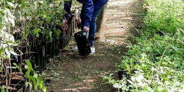 Vivero municipal de Posadas\u002E