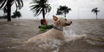 perro nadando inundaciones\r\n\r\nNEW ORLEANS, LA - AUGUST 28: Ruffin Henry and Scout the dog swim in the rising water of Lake Pontchatrain as Hurricane Isaac approaches on August 28, 2012 in New Orleans, Louisiana\u002E Hurricane Isaac is expected to make landfall later today along the Lousiana coast\u002E Chris Graythen/Getty Images/AFP== FOR NEWSPAPERS, INTERNET, TELCOS & TELEVISION USE ONLY ==\r\n eeuu nueva orleans eeuu llegada del huracan isaac clima huracanes
