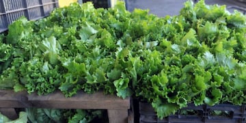 La hoja está de oferta\u002E