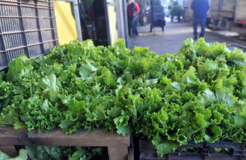 La verdura de hoja está súper regalada