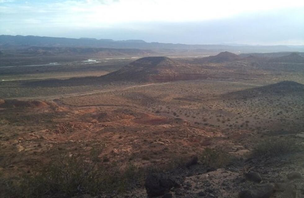 Hubo derrame de petróleo en Malargüe e Irrigación verifica si se contaminó el agua