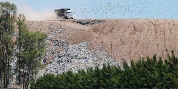 Los restos aparecieron a última hora del viernes cerca de Uriburu y Las Palmeras\u002E (Archivo)