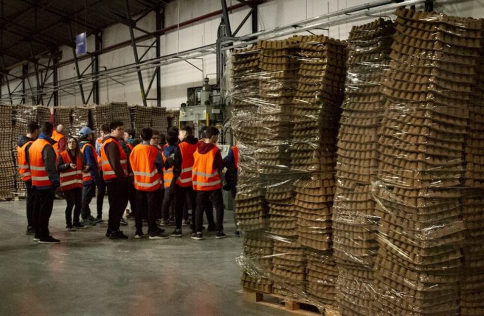 Buscan que San Martín y Kuanip estén libres de cartón