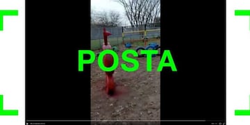 Es verdadero el video que muestra una plaza hecha con objetos reciclados en La Matanza\u002E (Reverso)