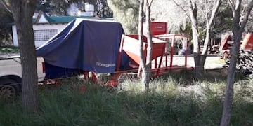 Productores porcinos reclaman atención al Idevi