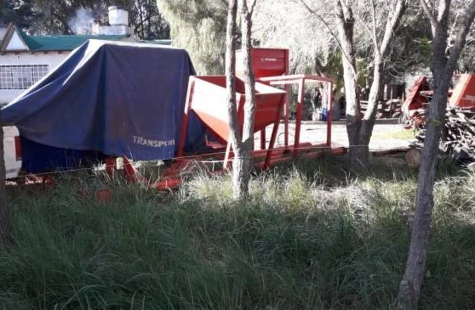 Productores porcinos reclaman atención al Idevi