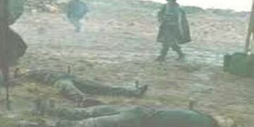 Tortura en Malvinas
