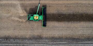 Necesitará obtener un promedio de 1.687 kilos de soja de primera por hectárea para hacer frente a los costos en la campaña 2019-20 (web).