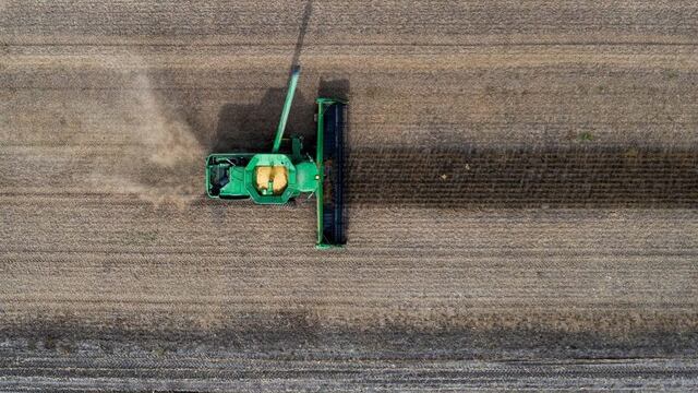 Necesitará obtener un promedio de 1.687 kilos de soja de primera por hectárea para hacer frente a los costos en la campaña 2019-20 (web).