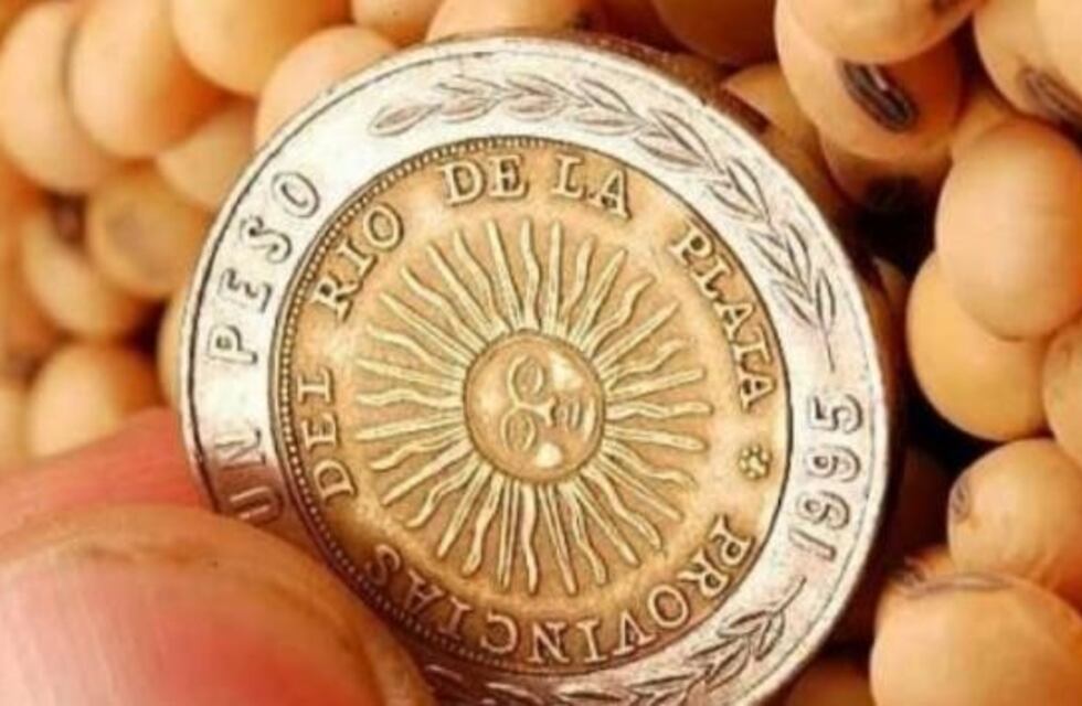 Comodoro perdería más de $40 millones de pesos por eliminación del fondo sojero