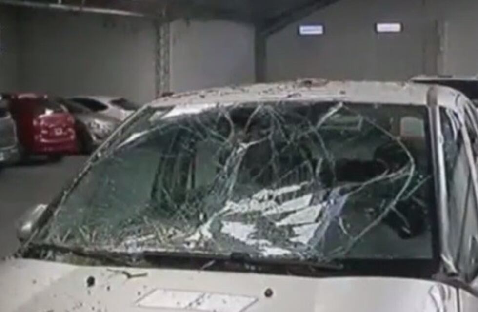 Una mujer quedó atrapada tras caer un árbol sobre su auto