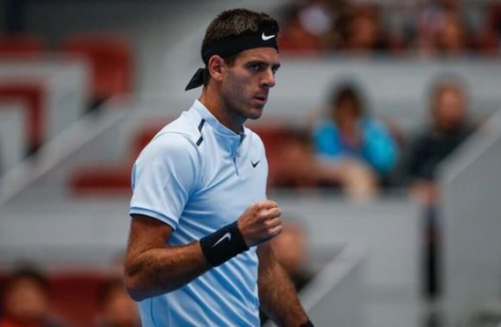 Del Potro venció al japonés Sugita y y pasó a la semifinal del ATP de Estocolmo