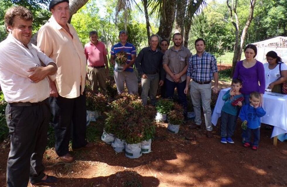 Productores locales beneficiados con la entrega de plantines