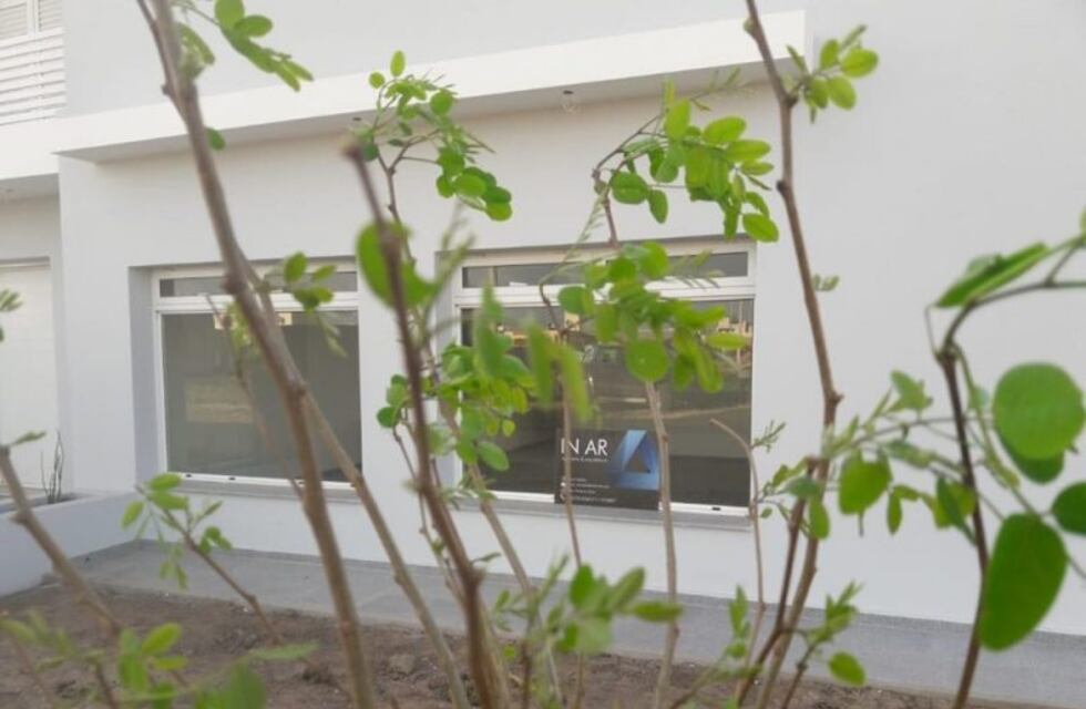 Estudio de arquitectura, obsequia árboles a los propietarios de cada obra terminada