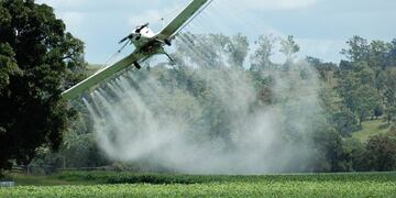 Uso de insecticidas en las plantaciones generan problemas nocivos para la salud\u002E