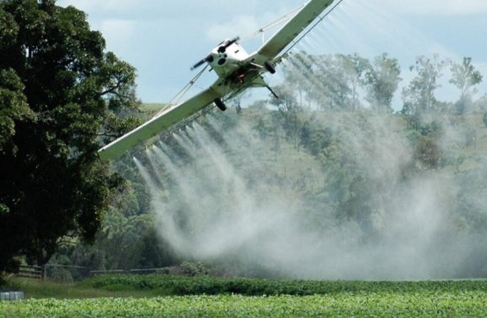 Misiones: diputados debatirán la prohibición de agrotóxicos en espacios públicos