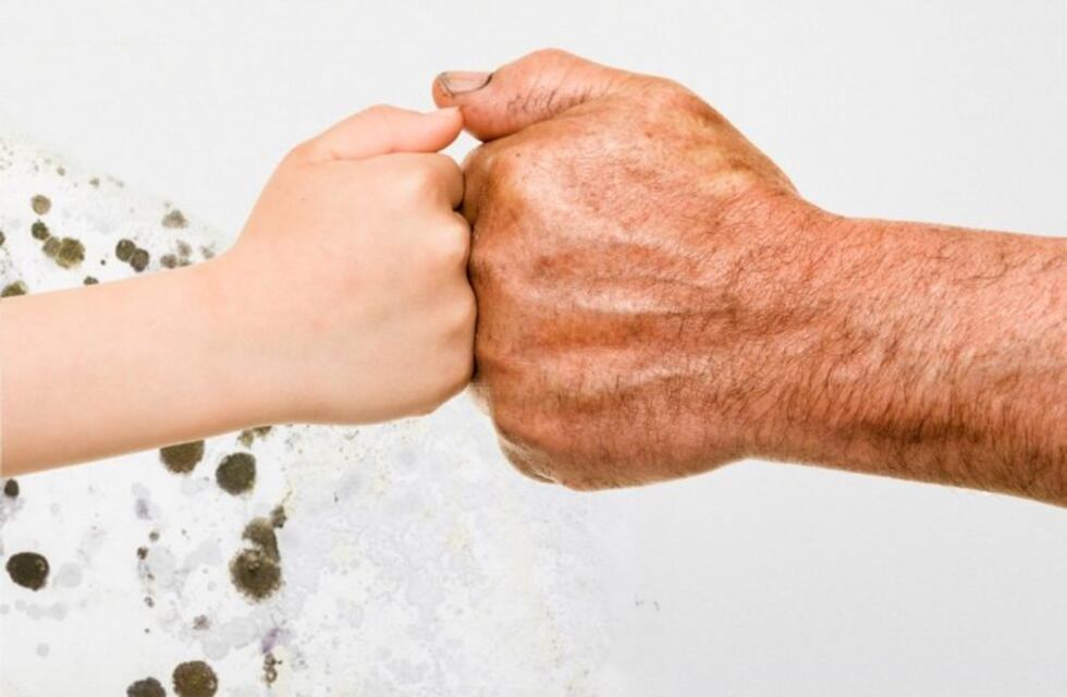 Abrieron las inscripciones para los Talleres Culturales 2019