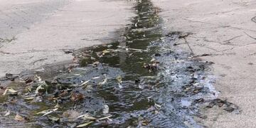 Tratamiento de aguas servidas en Carlos Paz\u002E