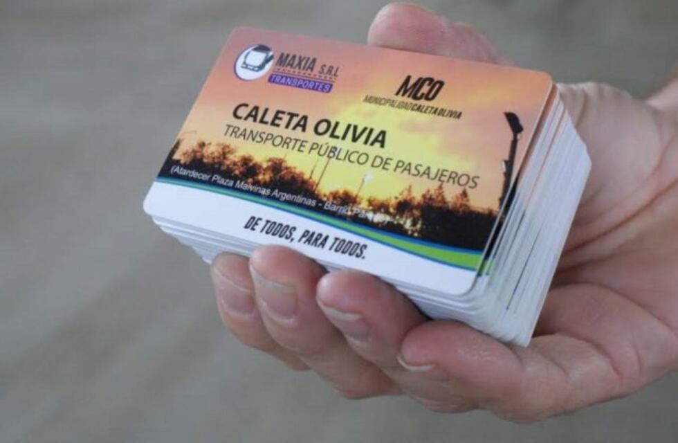 Tarjetas de transporte gratuitas para los chicos de la colonia de verano