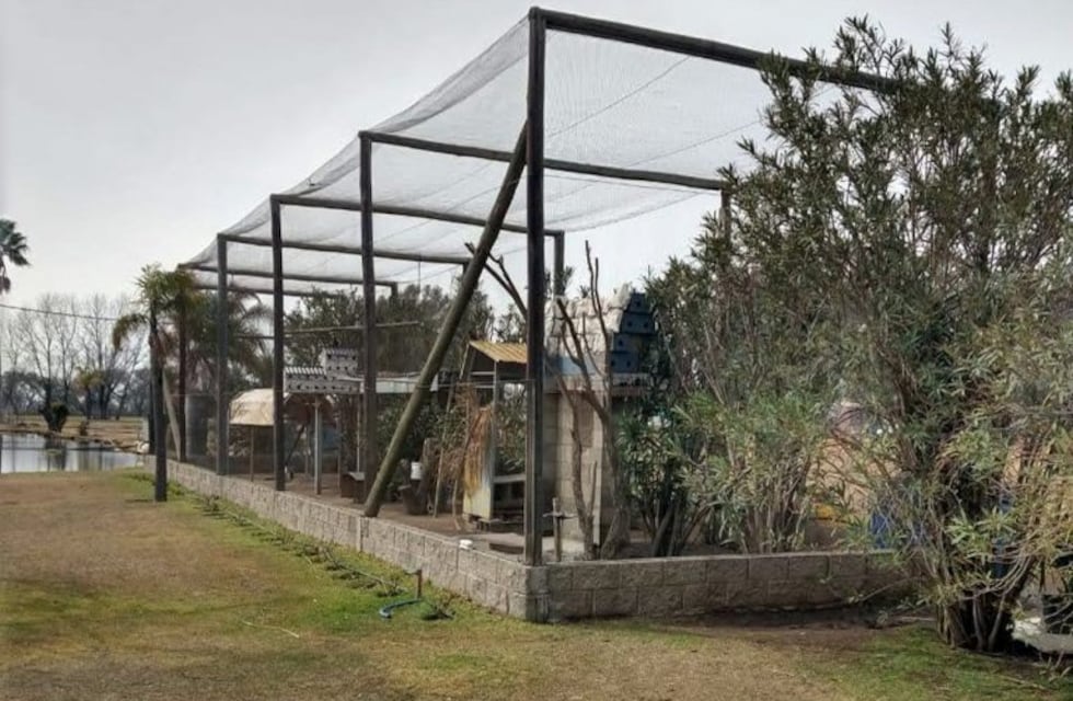 Rescataron más de 40 animales silvestres de dos domicilios de Villa María