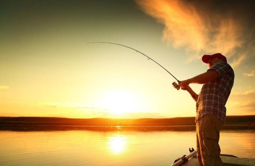 Pescó un "dorado gigante" y aseguran que podría ser un pez mutante