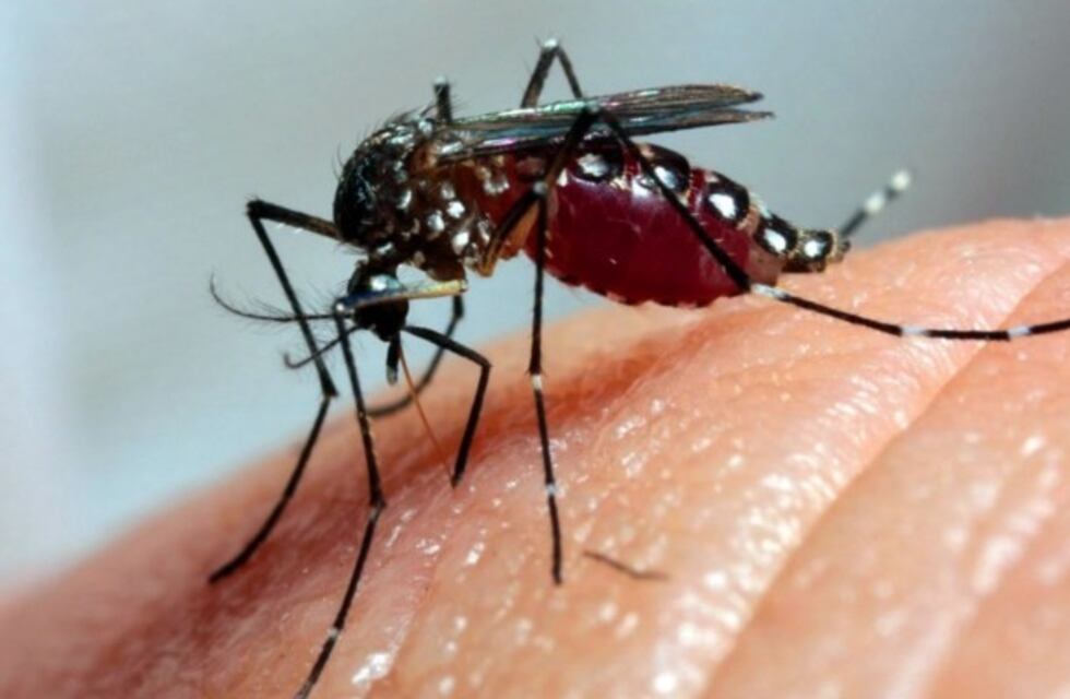 El dengue sigue avanzando en Tucumán y ya son 3167 los casos