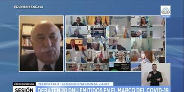 Mario Fiad, presidente de la comisión de Salud del Senado\u002E