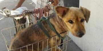 La imagen del anciano de 90 años se viralizó en las redes\u002E