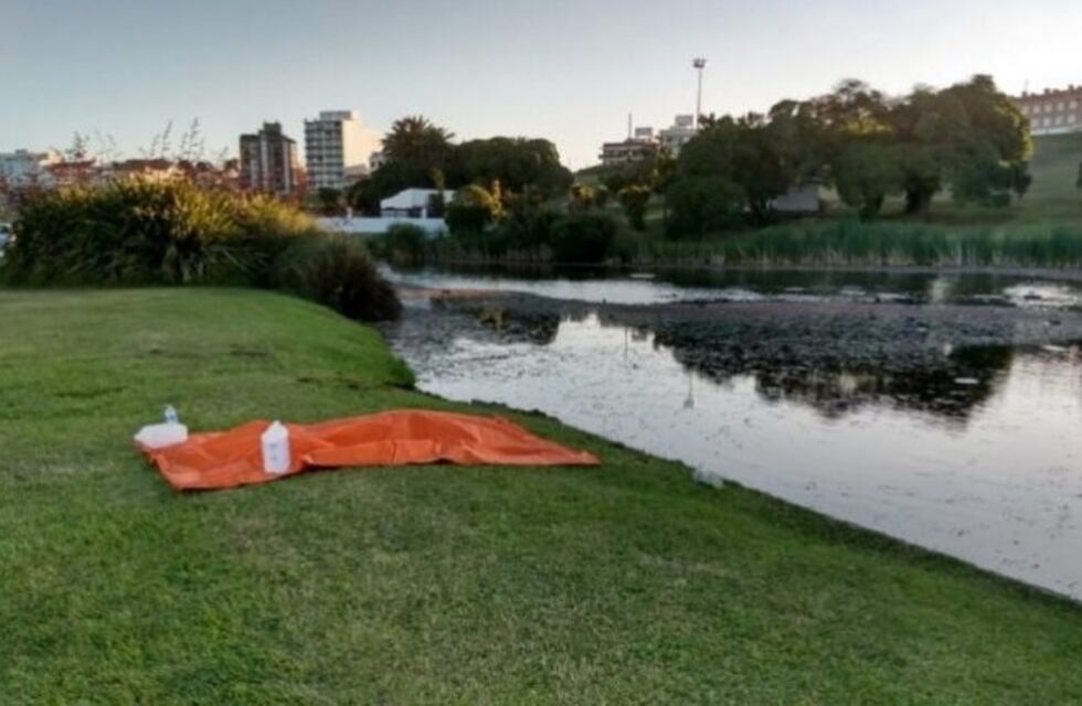 Quiso recuperar una pelota y murió ahogado en una de las lagunas de Punta Mogotes